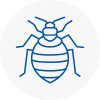 Bed Bug Extermination In Billericay