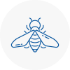 Bee Nest Removal Billericay