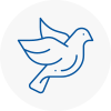Bird Prevention Billericay