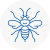 Billericay Hornet Nest Removals