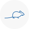 Mice Exterminators In Billericay