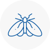 Moth Control Specialists In Billericay