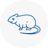 Rat Control Billericay
