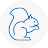 Billericay Rodent Removals