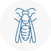 Billericay Wasp Nest Removal